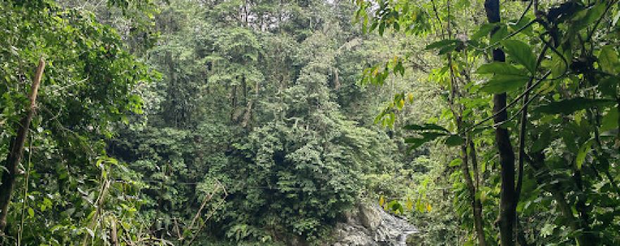 Guía local Mutatá Ecoturisdó - Turismo - Guianza - Tours- Guia Mutatá. Turísmo Mutatá