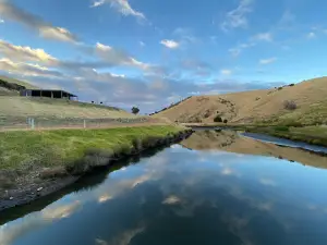 Western River Camp Site