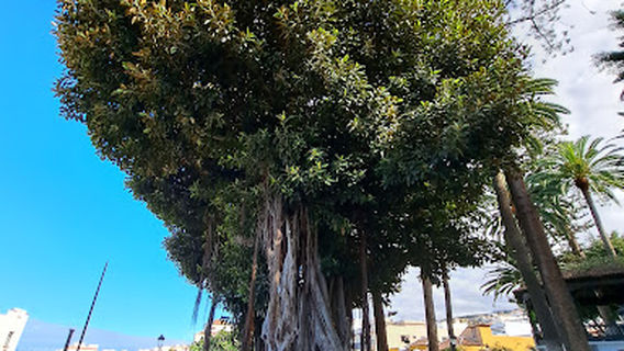 Plaza de la Pila