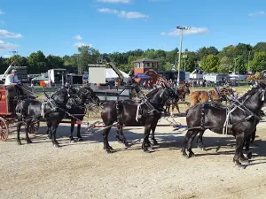 Wayne County Fair-Ohio