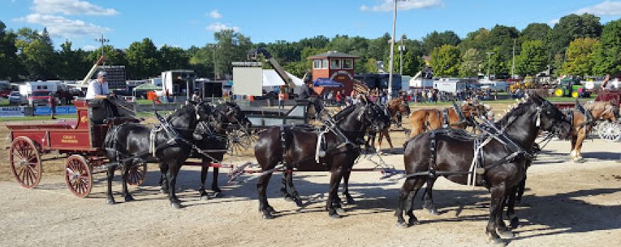 Wayne County Fair-Ohio