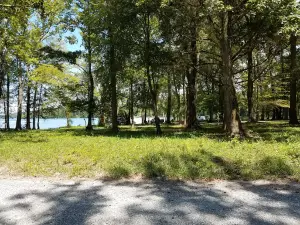 Jackson Island