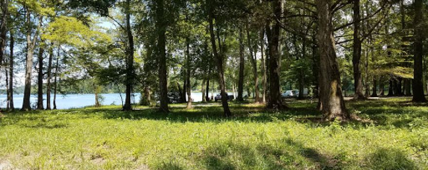 Jackson Island