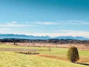 Ibmer Moor Lehrpfad