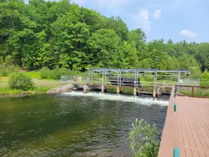 Little Manistee Weir