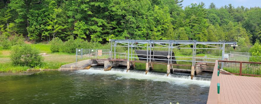 Little Manistee Weir