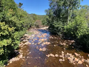 Elizabeth Swan Park