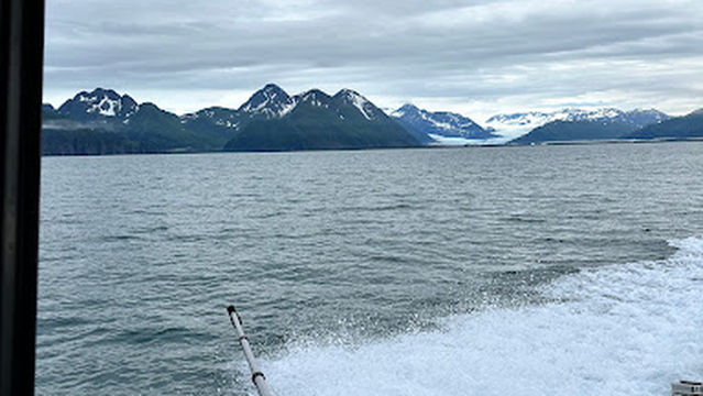 Gray Light Sportfishing