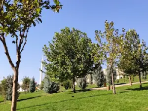 SBB Saladin-i Ayyubid Park