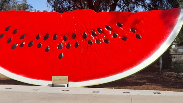 Chinchilla Showgrounds
