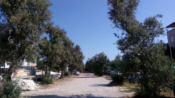 Gerze Belediyesi Çocuk Bahçesi