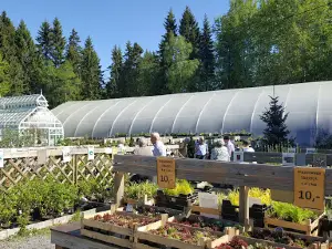 Blomqvists Plantskola Ab