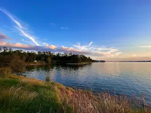 Lake Livingston