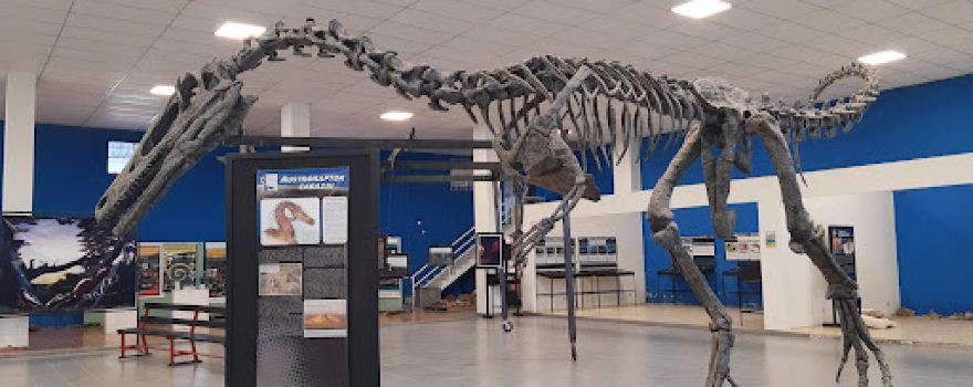 Paleontological Museum Héctor Cabaza