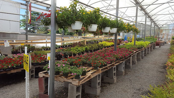 Meadows Farms Nurseries and Landscape