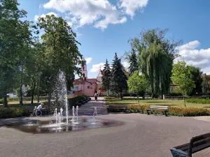 Park im. Ks. Dr Janusza Ostrowskiego