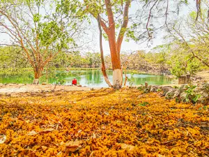 Cenote Chen-Há