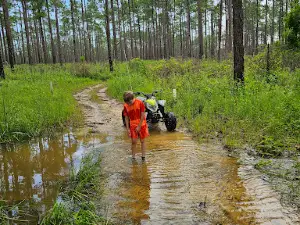 Little Tiger ATV Trail - Desoto National Forest
