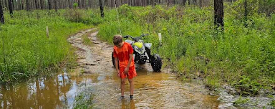 Little Tiger ATV Trail - Desoto National Forest