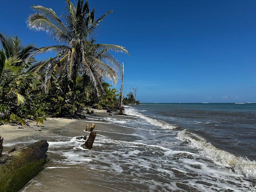 Parque Nacional Cahuita - Entrada Puerto Vargas