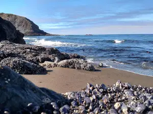 Agate Beach