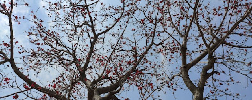 Chisti Khan's Palace