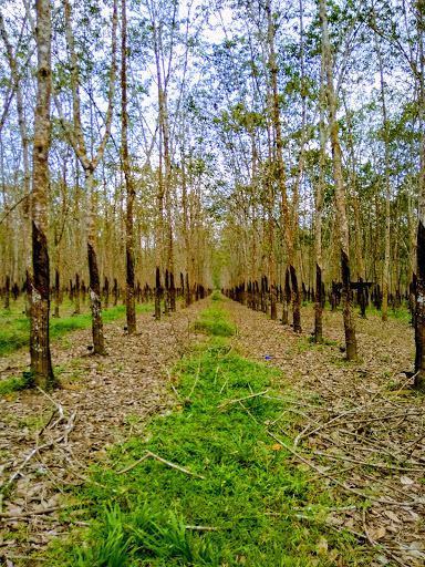 Sembawa Agropark
