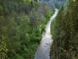 Khiyoboni Ismoili Somoni