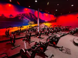 VASA Fitness