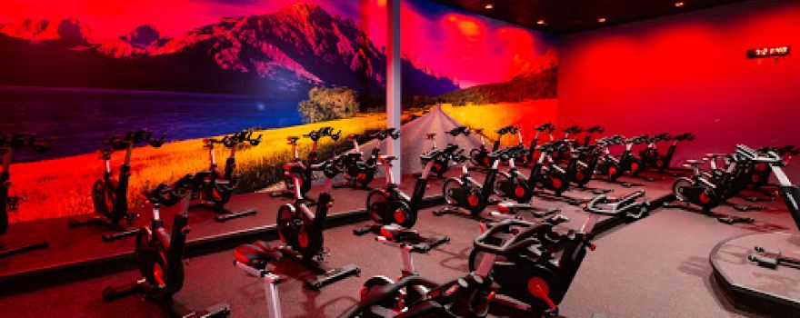 VASA Fitness