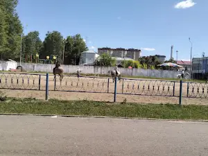 Meshchera, Sportivnyy Kompleks, Mu