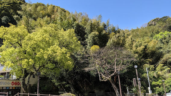 Cave of Takamori Saigo (Satsuma Rebellion 1877)
