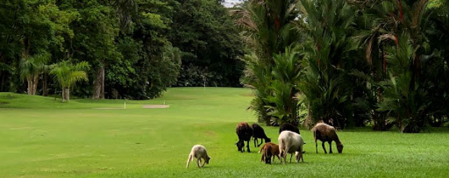 Los Delfines Golf and Country Club