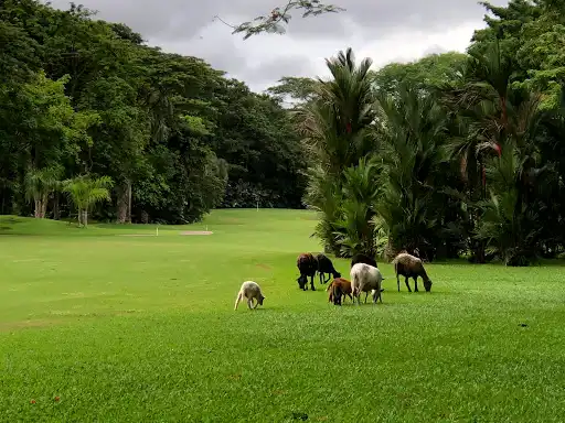 Los Delfines Golf and Country Club