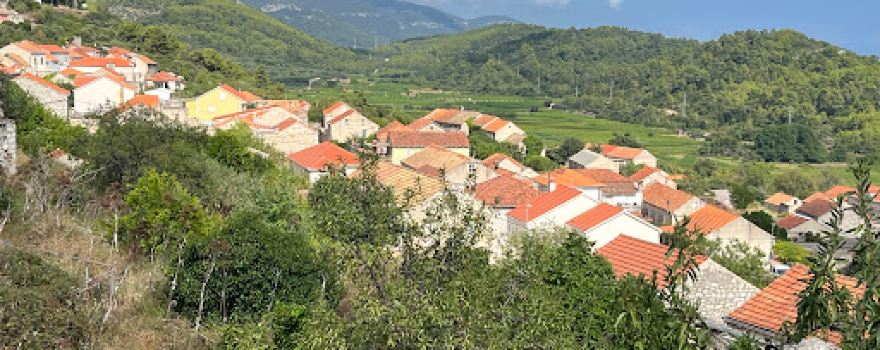 Grošić winery