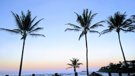 Laie