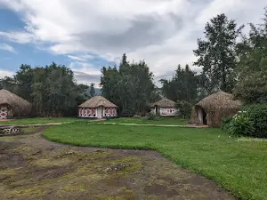 Gorilla Guardians