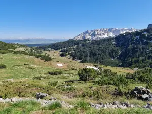 Vidikovac Kanjon Tare / Viewpoint Tara Canyon