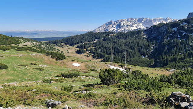 Vidikovac Kanjon Tare / Viewpoint Tara Canyon