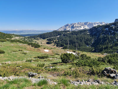 Vidikovac Kanjon Tare / Viewpoint Tara Canyon