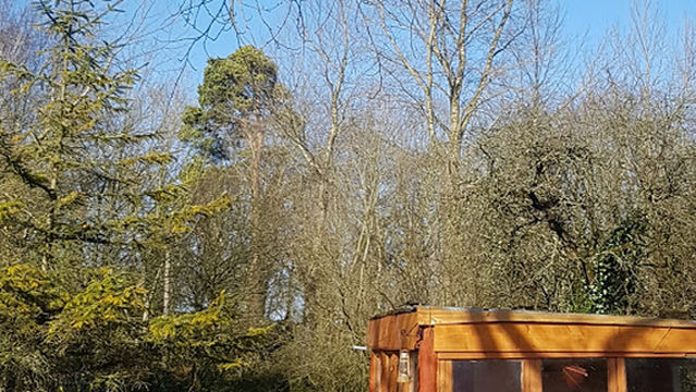 Geashill Railway Station (Closed)