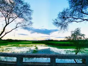 Ukto bil উকতো বিল