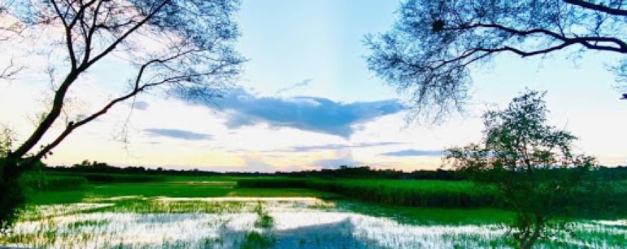 Ukto bil উকতো বিল