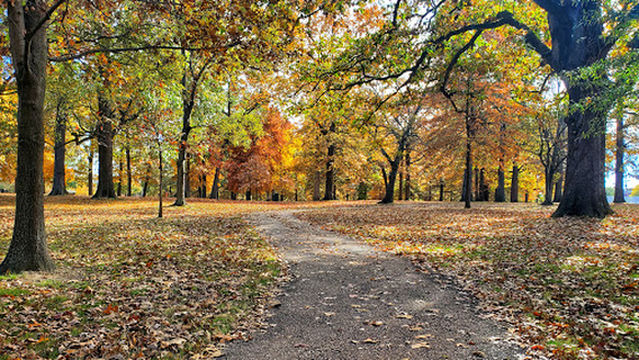 The Links at Audubon