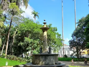 Low Garden