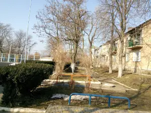"Dunayetsʹ"