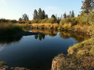 Rosland Campground