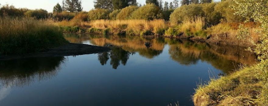 Rosland Campground