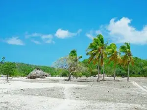 Oeseli Beach
