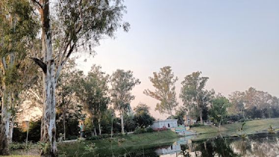 Chirahula Hanuman Mandir rewa